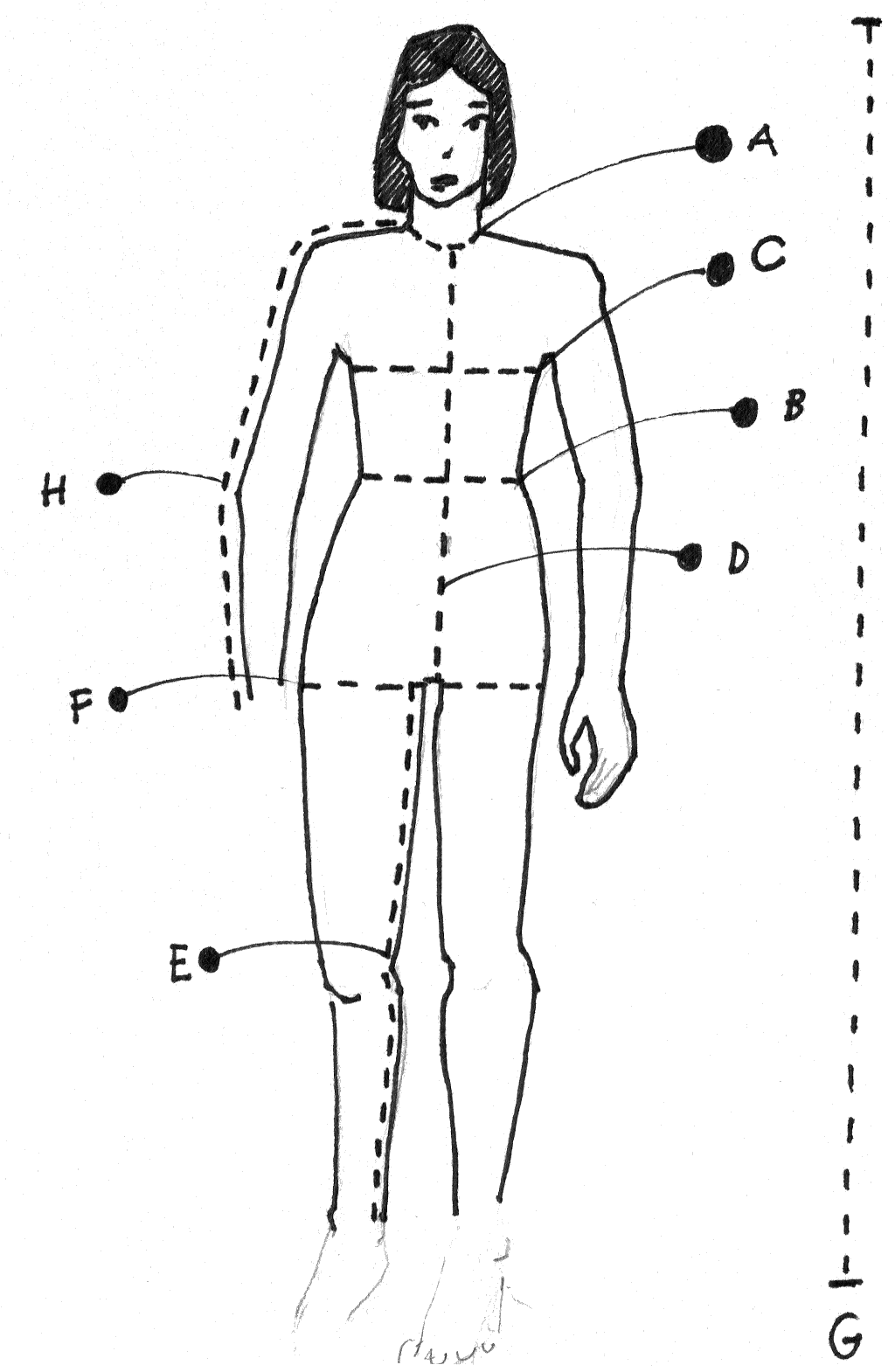 Body measurement diagram showing points A through H